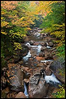 Cascading river in autumn, Franconia Notch State Park. New Hampshire, USA (color)