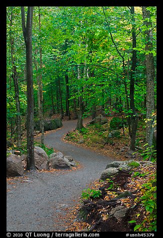 Path in forest, Franconia Notch State Park. New Hampshire, USA