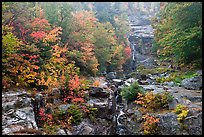 Cascading waterfall and autumn colors, Crawford Notch State Park. New Hampshire, USA