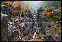 Silver Cascade in the fall, White Mountain National Forest. New Hampshire, USA ( color)