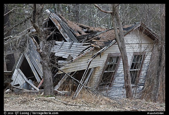 Ruined house in forest. New Hampshire, USA