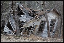 Ruined house in forest. New Hampshire, USA ( color)