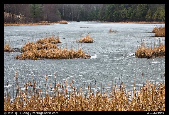 Frozen pond. Walpole, New Hampshire, USA (color)