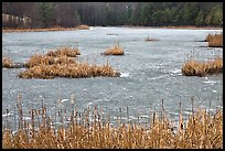 Frozen pond. Walpole, New Hampshire, USA