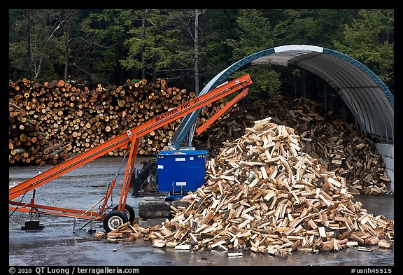 Pile of timber logs. New Hampshire, USA (color)