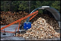 Pile of timber logs. New Hampshire, USA ( color)