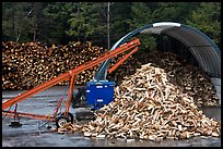 Pile of timber logs. New Hampshire, USA (color)