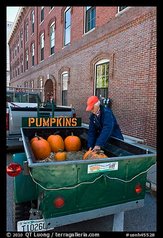 Farmers market. Concord, New Hampshire, USA