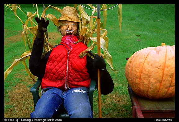 Scarecrow. New Hampshire, USA