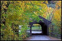 Covered bridge in autumn, Bath. New Hampshire, USA ( color)