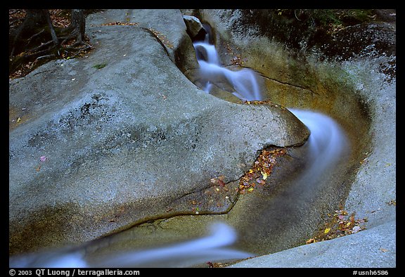 Water cascade over smooth rock, Franconia Notch State Park. New Hampshire, USA (color)