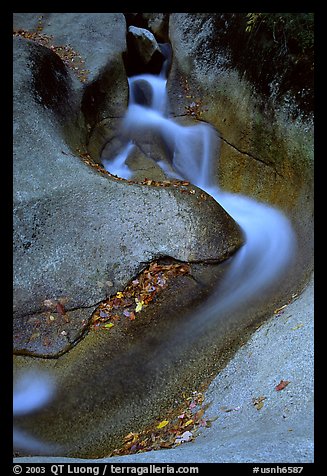 Water flowing over smooth granite, Franconia Notch State Park. New Hampshire, USA