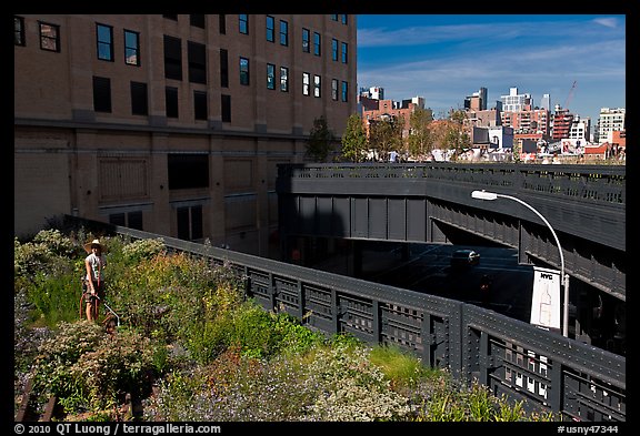 Garden on the High Line. NYC, New York, USA