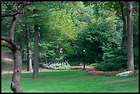 Lawn, trees, and flowers, Central Park. NYC, New York, USA ( color)