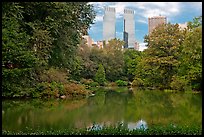 Pond and skyscrappers, Central Park. NYC, New York, USA (color)