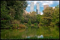 Pond and skyscrappers, Central Park. NYC, New York, USA