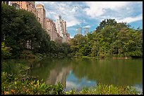 Pond and high-rise buildings, Central Park. NYC, New York, USA ( color)