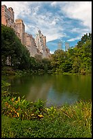 Central Park pond and nearby buildings. NYC, New York, USA ( color)