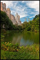 Central Park pond and nearby buildings. NYC, New York, USA