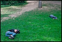 Men sleeping on lawn, Central Park. NYC, New York, USA ( color)