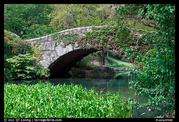 Stone bridge, Central Park. NYC, New York, USA (color)