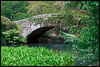 Stone bridge, Central Park. NYC, New York, USA (color)