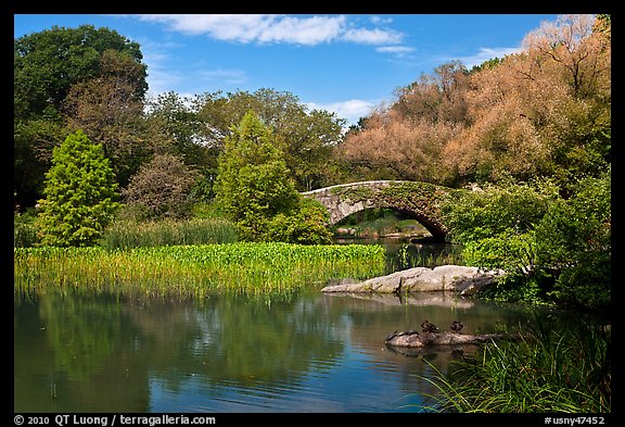 Pond and stone bridge, Central Park. NYC, New York, USA (color)