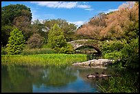 Pond and stone bridge, Central Park. NYC, New York, USA (color)