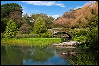 Pond and stone bridge, Central Park. NYC, New York, USA