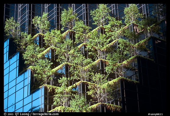 Hanging gardens on Trump Tower. NYC, New York, USA (color)