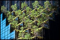 Hanging gardens on Trump Tower. NYC, New York, USA