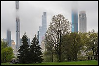 Skyscrappers towering above Central Park. NYC, New York, USA ( color)
