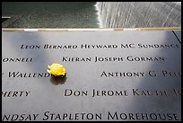 Rose and victim names, September 11 Memorial. NYC, New York, USA ( color)