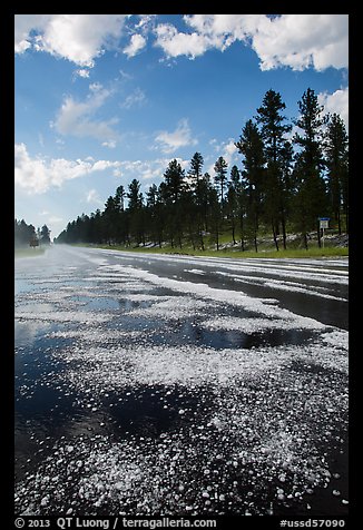 Highway after hailstorm, Black Hills National Forest. Black Hills, South Dakota, USA (color)