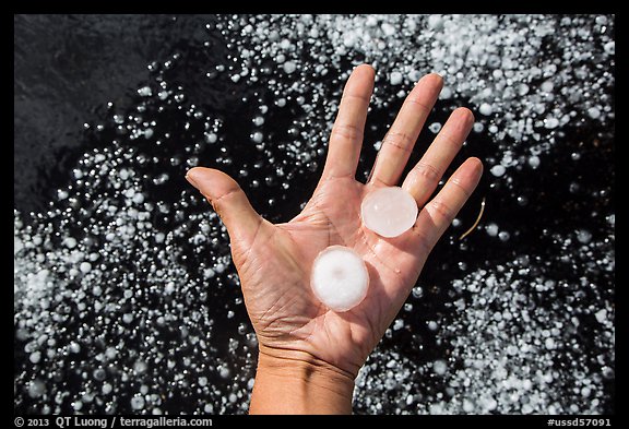 Hand holding large hailstones. Black Hills, South Dakota, USA