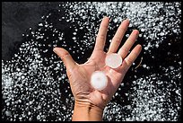 Hand holding large hailstones. Black Hills, South Dakota, USA ( color)