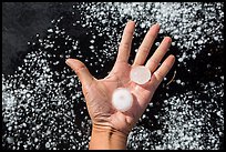 Hand holding large hailstones. Black Hills, South Dakota, USA (color)