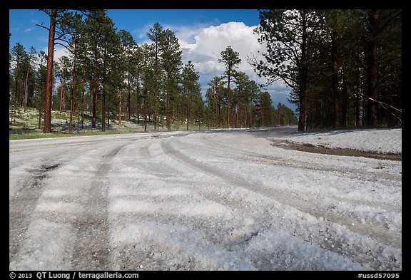 Highway covered with hailstones, Black Hills National Forest. Black Hills, South Dakota, USA