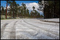 Highway covered with hailstones, Black Hills National Forest. Black Hills, South Dakota, USA (color)