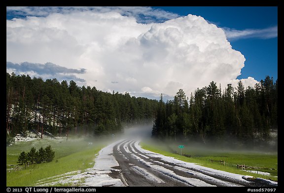 Clearing hailstorm, Black Hills National Forest. Black Hills, South Dakota, USA (color)