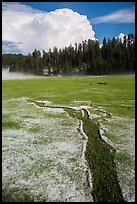 Pictures of Black Hills