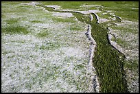 Hailstones form pattern in meadow, Black Hills National Forest. Black Hills, South Dakota, USA (color)