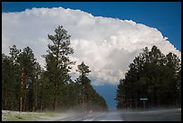 Cumulonimbus cloud above roadway, Black Hills National Forest. Black Hills, South Dakota, USA ( color)