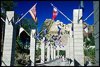 Alley of the Flags, with flags from each of the 50 US states, Mt Rushmore National Memorial. South Dakota, USA