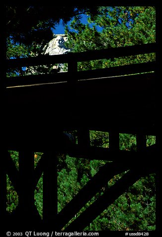 Distant view of Mt Rushmore through a bridge and trees. South Dakota, USA