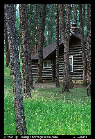 Cabins in Custer State Park. Black Hills, South Dakota, USA (color)