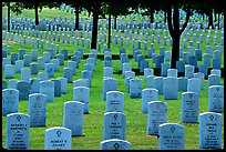 Rows of gravestones, Black Hills National Cemetery. Black Hills, South Dakota, USA (color)