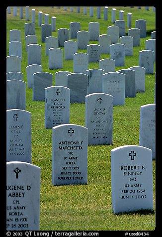 Rows of tombs, Black Hills National Cemetery. Black Hills, South Dakota, USA (color)