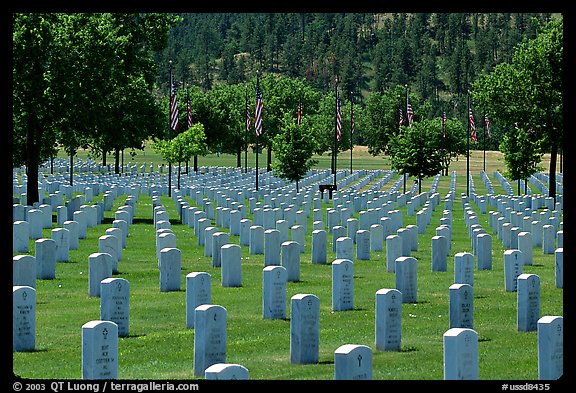 Black Hills National Cemetery. Black Hills, South Dakota, USA