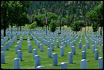 Black Hills National Cemetery. Black Hills, South Dakota, USA